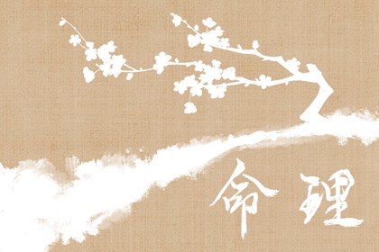 老黄历查询2026|官方正版老黄历查询|玄奥择吉黄历